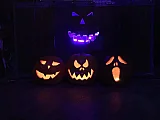Halloween tök - Galéria