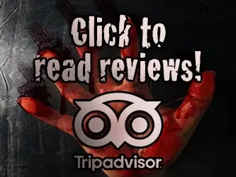 Reviews